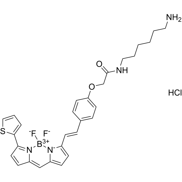 BDP 630/650 amine