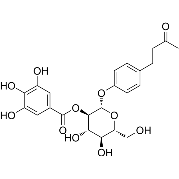 Isolindleyin