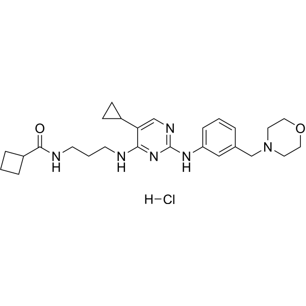 MRT67307 hydrochloride