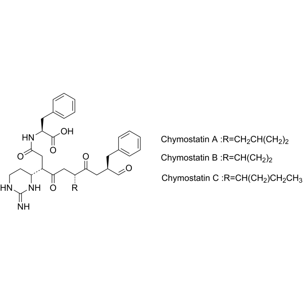 Chymostatin