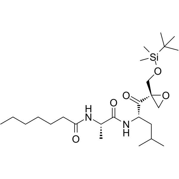 UK-101
