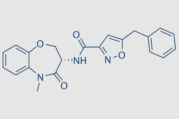 GSK481