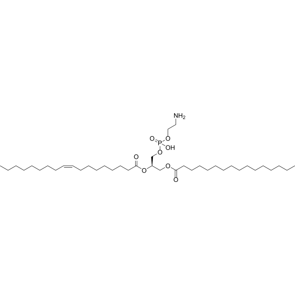 1-Palmitoyl-2-oleoyl-sn-glycero-3-PE