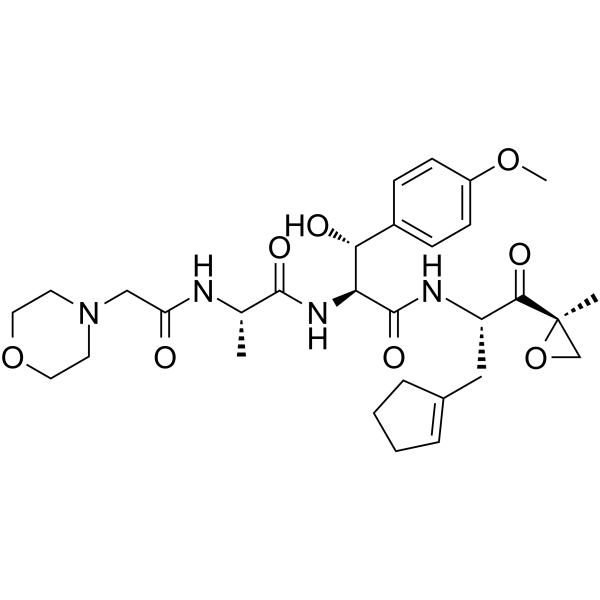 Zetomipzomib