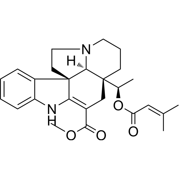 Echitovenidine