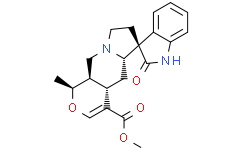 Isomitraphylline