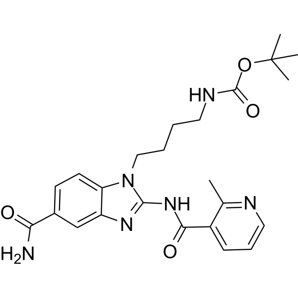 SAP-04