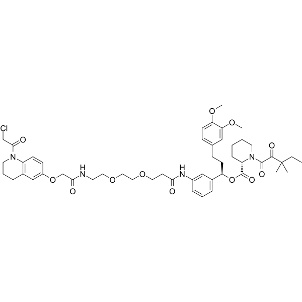 KB02-SLF