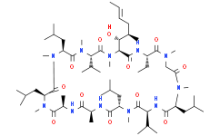 Cyclosporin A