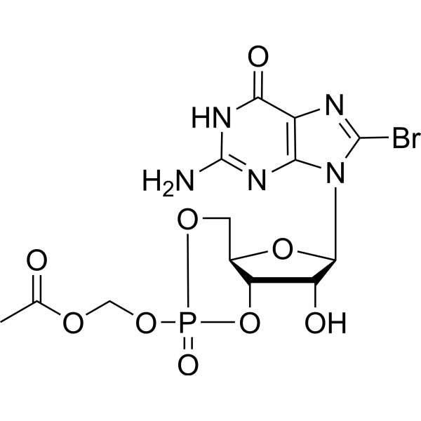 8-Br-cGMP-AM