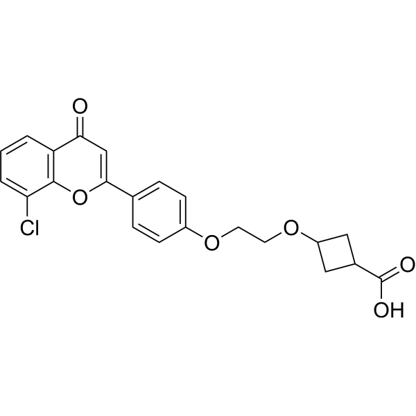 ccc_R08