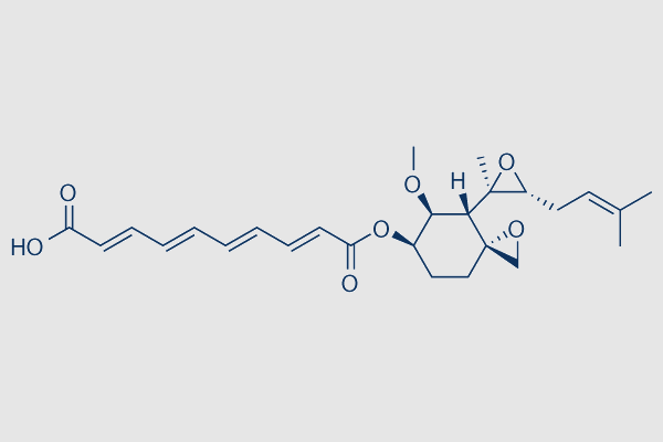 Fumagillin