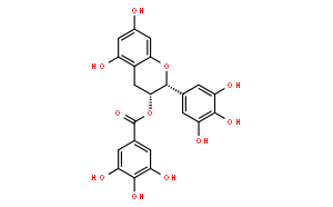 Epigallocatechin gallate