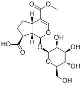 11-Methylforsythide