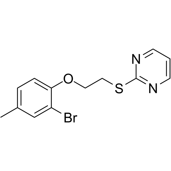 ZLN024