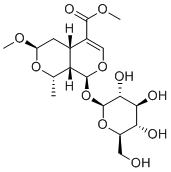 7β-O-Methylmorroniside