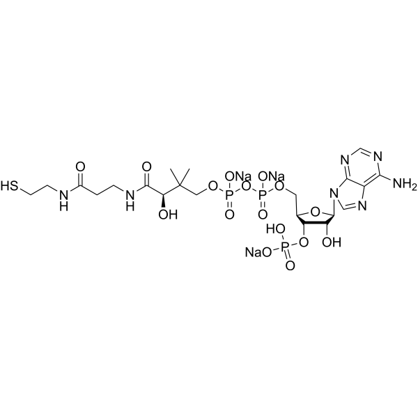 Coenzyme A sodium