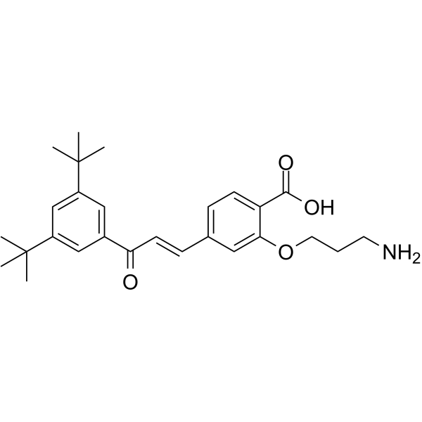 Ch55-O-C3-NH2