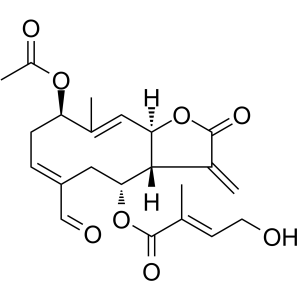 Eupalinolide O