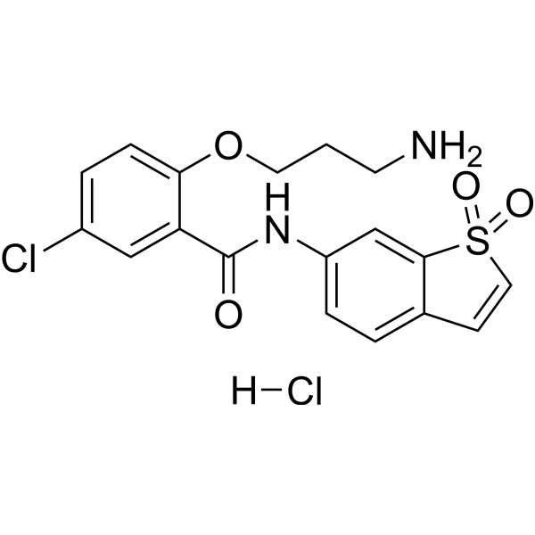 HJC0416 hydrochloride