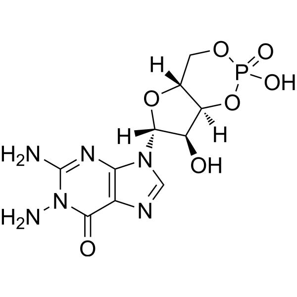 1-NH2-cGMP