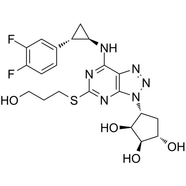Antiplatelet agent 2