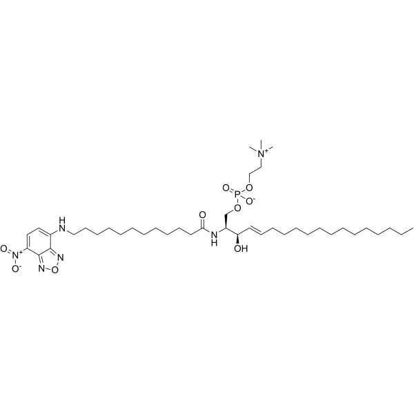 C12 NBD Sphingomyelin