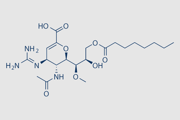 Laninamivir Octanoate