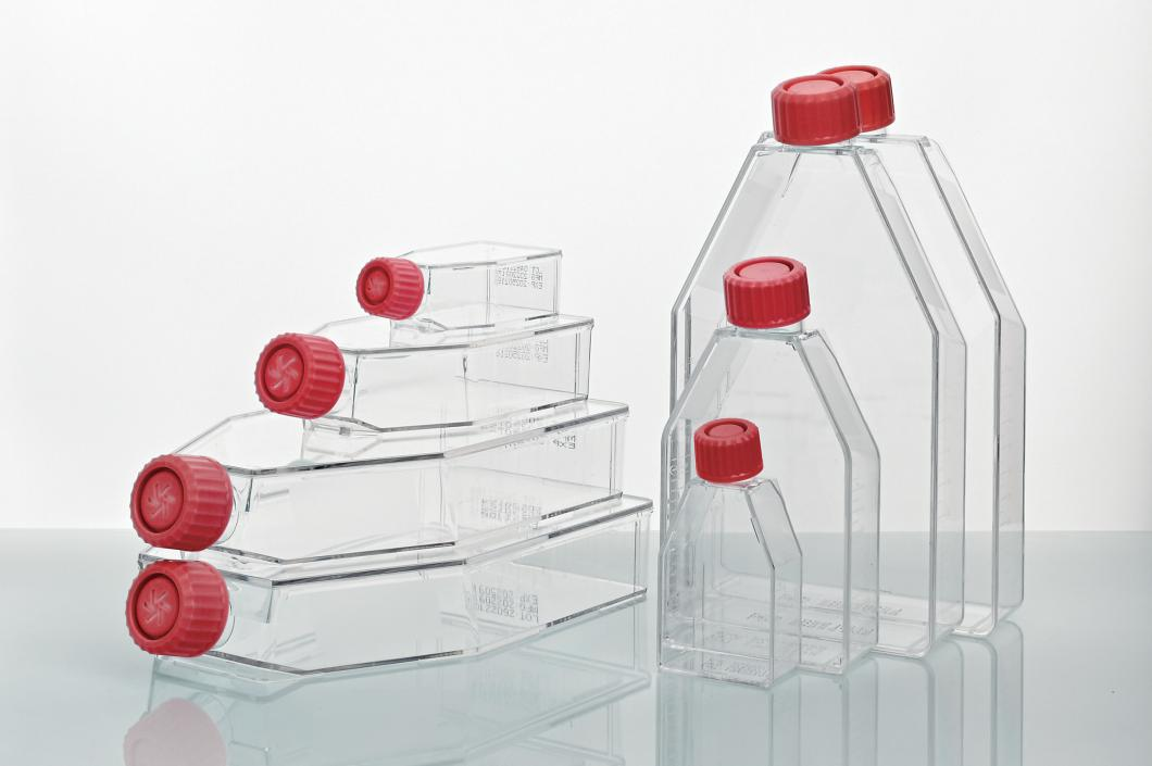 Cell Culture Flasks