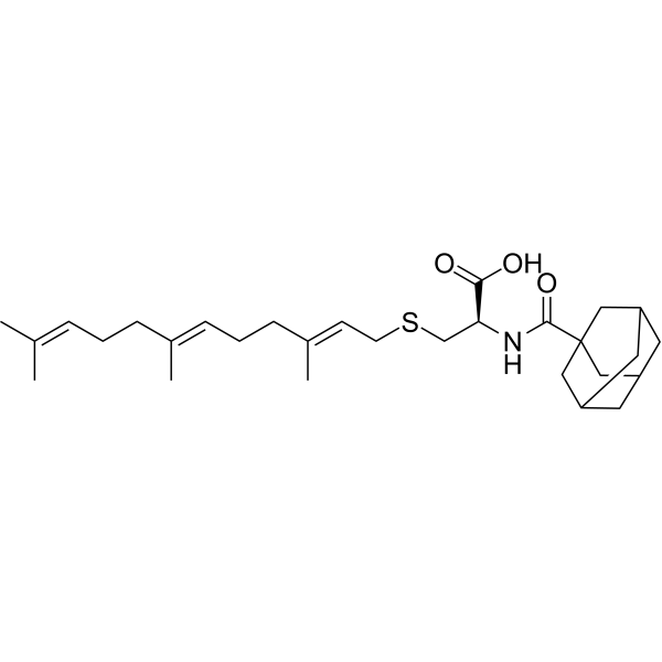 ICMT-IN-54