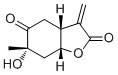 Paeonilactone B