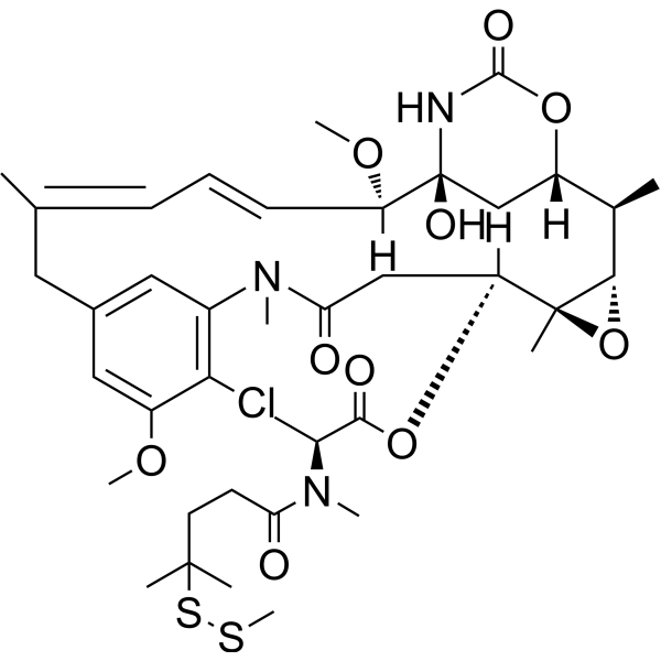 DM4-SMe