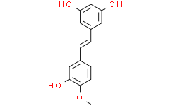 Rhapontigenin