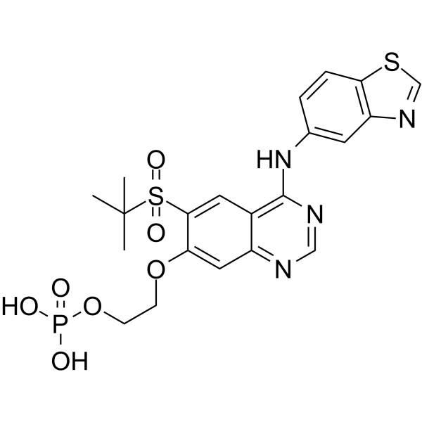 GSK2983559freeacid