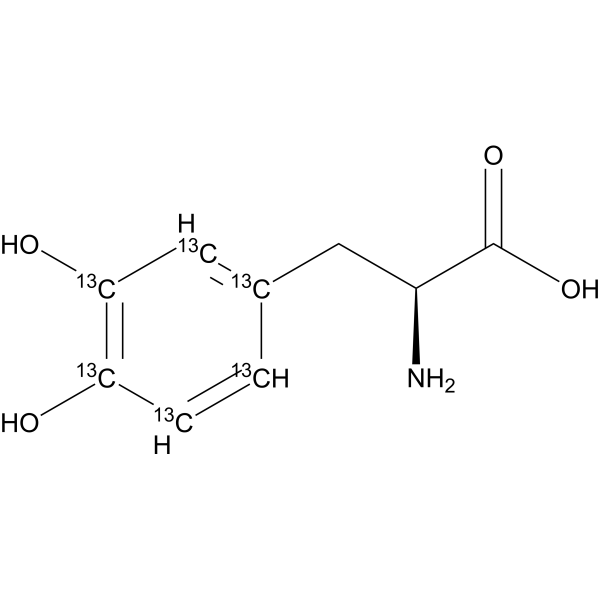 L-DOPA-
       
        13
       
       C
       
        6