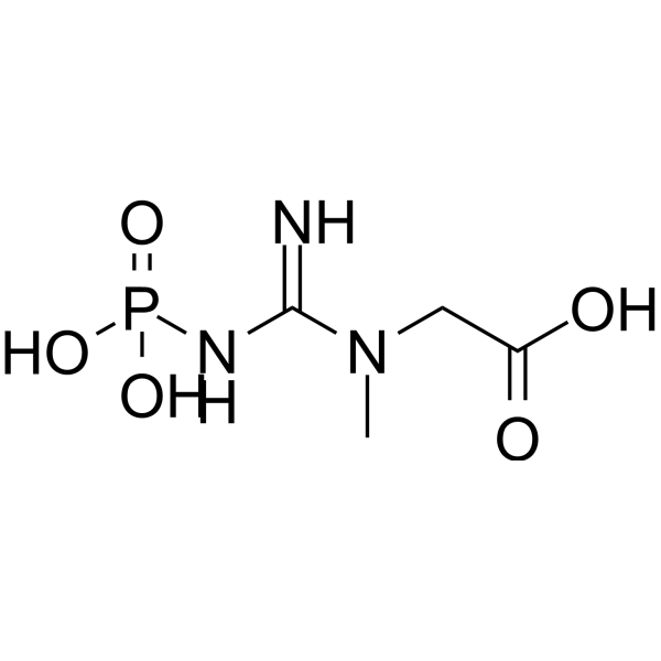Phosphocreatine