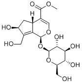 10-Hydroxymajoroside