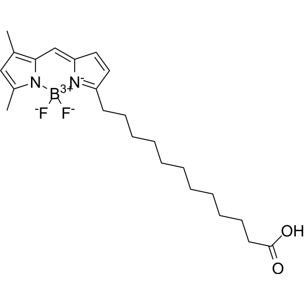 BODIPY FL C12