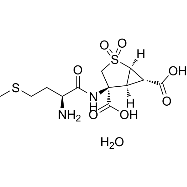 Pomaglumetad methionil