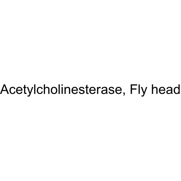Acetylcholinesterase, Fly head