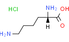 Lysine Hydrochloride