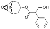 Norscopolamine