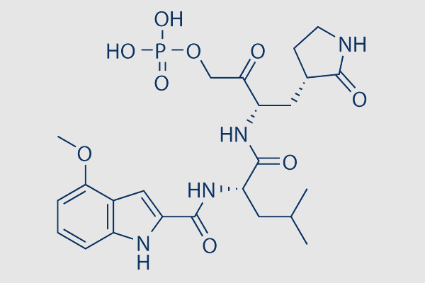 Lufotrelvir (PF-07304814)