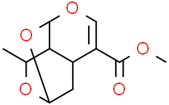 Sarracenin