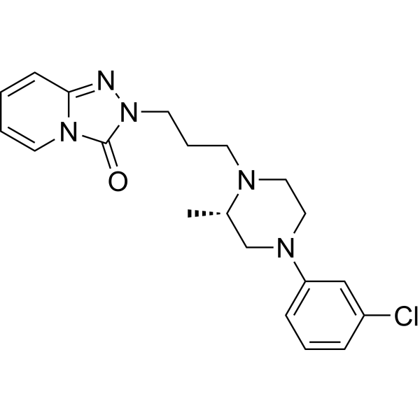 α1 adrenoceptor-MO-1