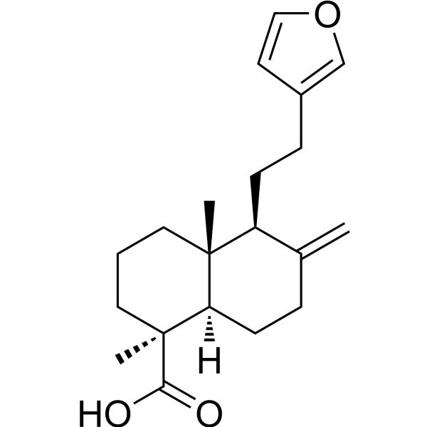 Lambertianic acid
