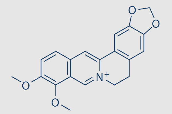 Berberine