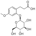 3-(2-Glucosyloxy-4-methoxyphenyl)propanoic acid