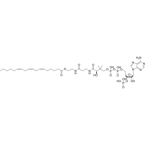 γ-Linolenoyl-CoA