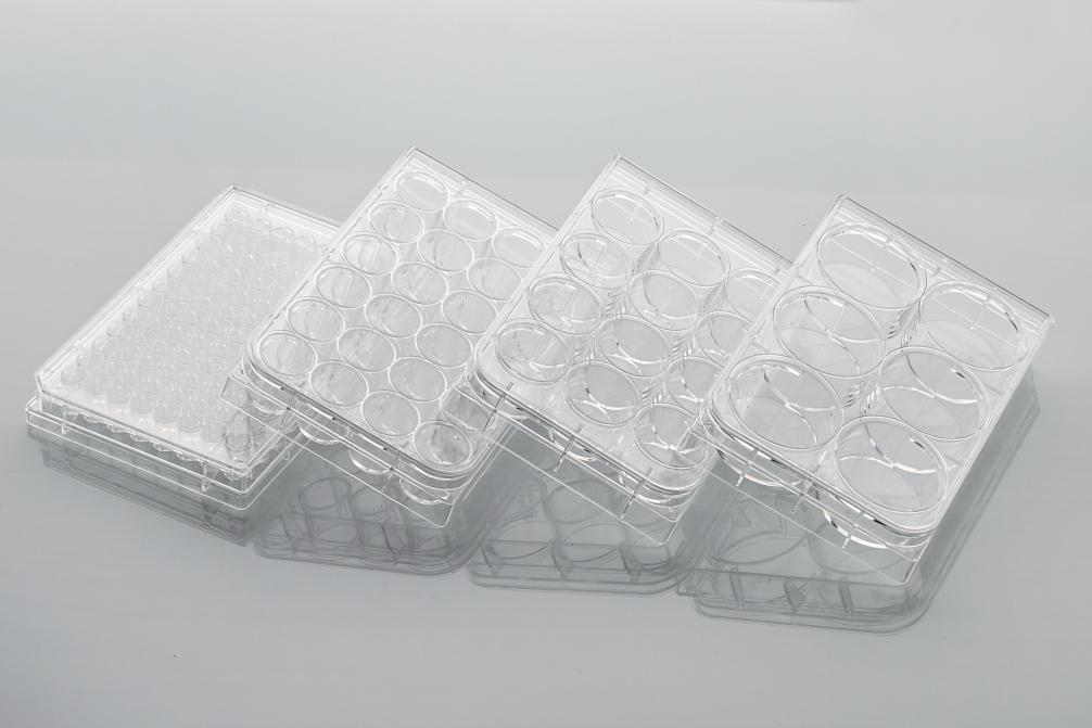 Cell Culture Plates